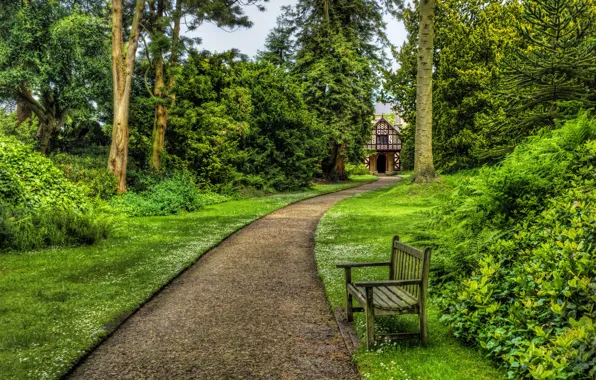 Trees, bench, house, Park, HDR, track, UK, alley