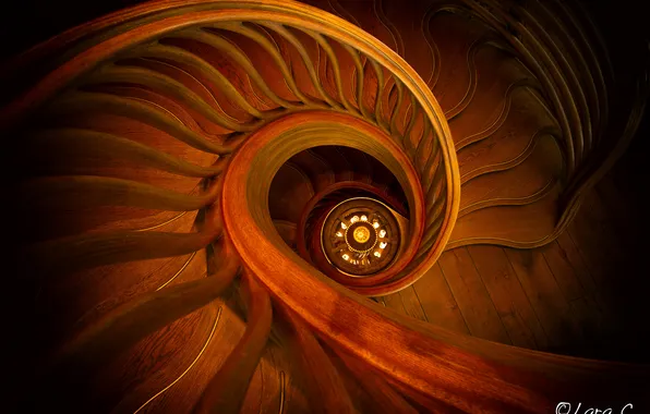 Ladder, chandelier, spiral staircase