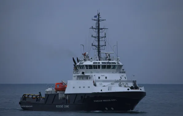 Ship, Navy, rescue, auxiliary, Professor Nicholas Moore
