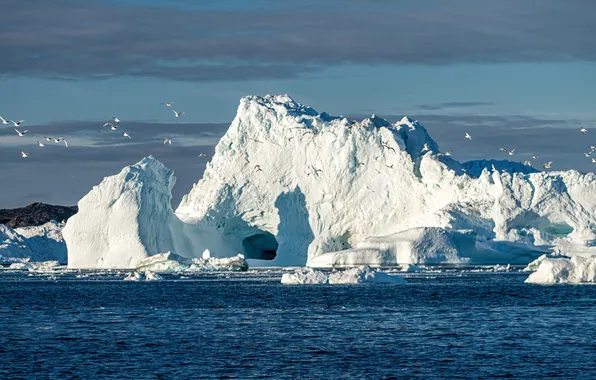 Picture ice, nature, water, scenic, freezing, vacation, cold, iceberg