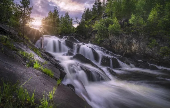 Trees, river, stones, rocks, waterfall, Norway, cascade, Norway