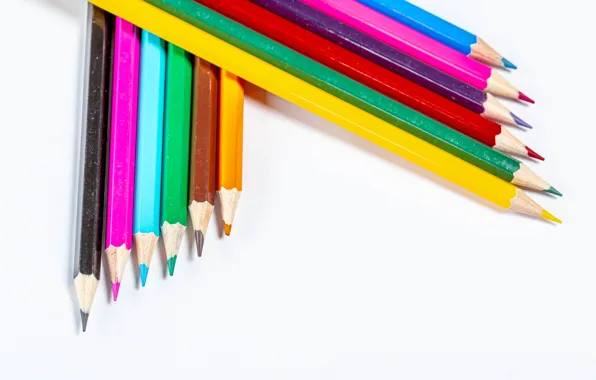 Pencils, white background, colorful