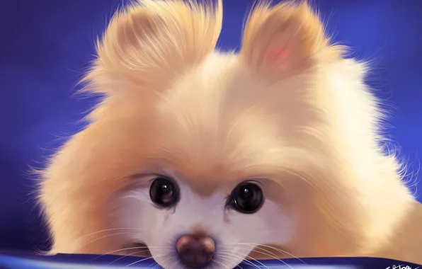 Picture dog, Spitz, by Khushiart