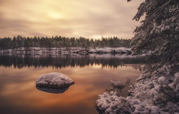 Winter, forest, water, snow, trees, reflection, Finland