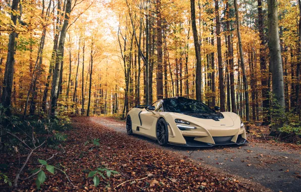 Picture autumn, forest, McLaren, supercar, 2018, Novitec, N-Largo, 720S