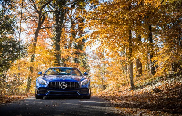 Roadster, Mercedes-Benz, front view, AMG, 2018, GT C