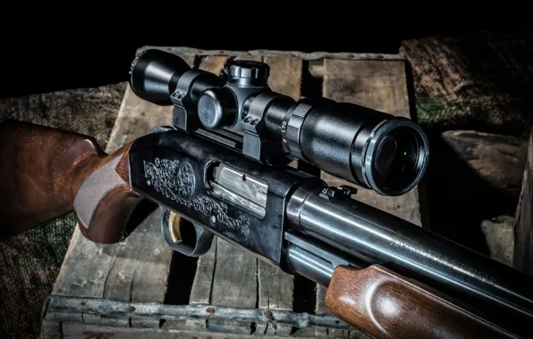 Picture weapons, optics, the gun, pump, Mossberg 500