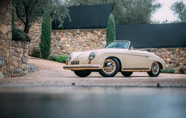 Picture Porsche, 1954, 356, Porsche 356