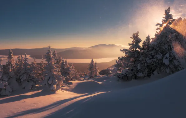 Winter, snow, trees, landscape, mountains, nature, morning, shadows