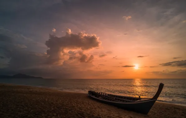 Sea, beach, sunset, nature, shore