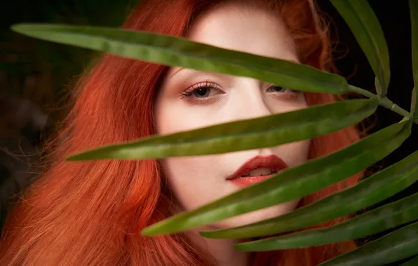 Look, girl, face, sheet, hair, portrait, red, redhead