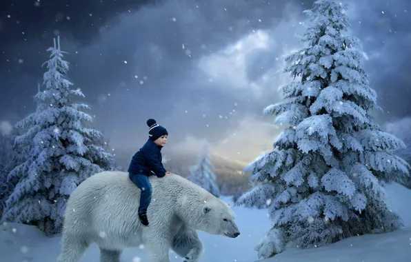 Winter, snow, boy, ate, polar bear, child, top, photoart