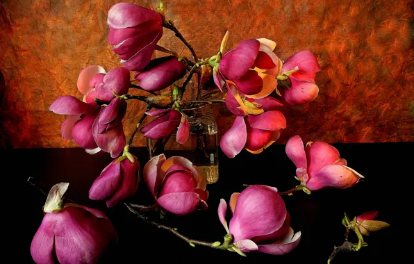 Picture flowers, petals, vase, still life