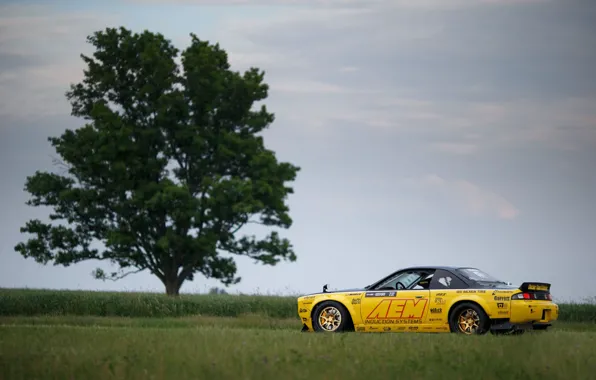 Tree, Nissan, Car, 240SX, 1996, Rocket Bunny kit, Nissan 240SX, Nissan 240SX (S14)