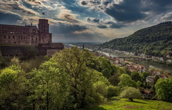 Picture trees, bridge, river, castle, Germany, panorama, town, Germany