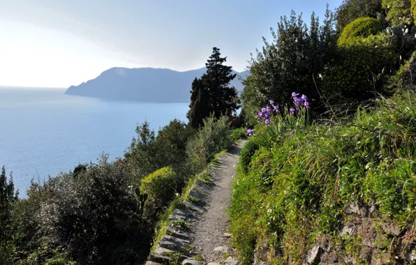 Wallpaper flowers, sea, path, Italy, nature, coast