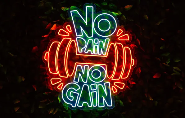 Picture Neon sign, No pain, No gain