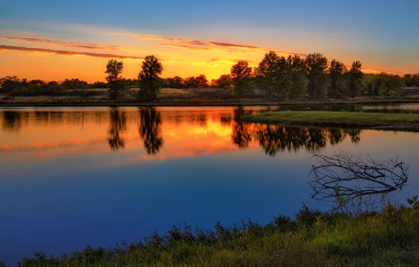 Picture the sun, trees, sunset, reflection, blue, shore, the evening, pond