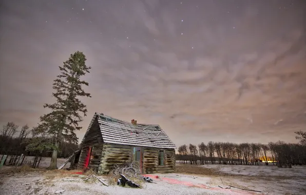 Picture trees, night, home