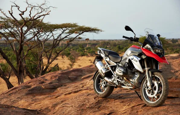 BMW, Savannah, Africa, South Africa, R1200GS