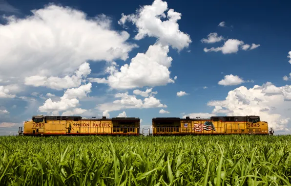Picture grass, locomotive, American flag