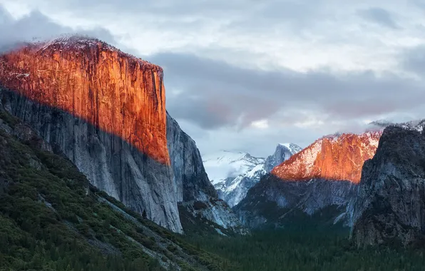 Forest, trees, mountains, rocks, Apple, slope, CA, gorge