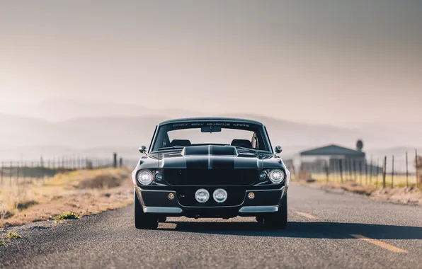 Car, Ford, wallpaper, supercar