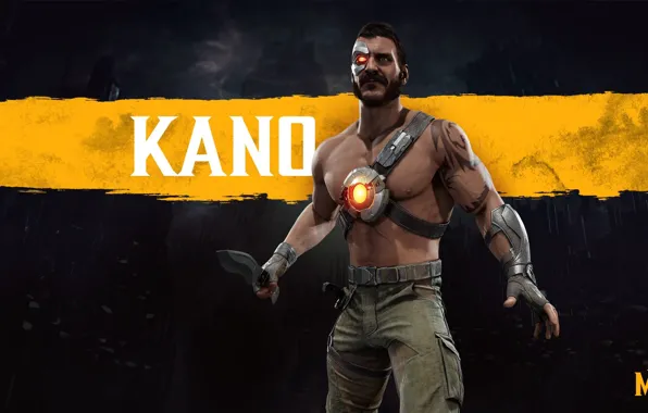 The game, Fighter, Art, Mortal Kombat, Mortal Kombat, Character, MK11, Kano