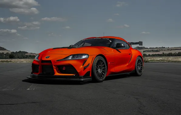 Picture Toyota, exterior, sports car, 2023, Toyota GR Supra GT4, Toyota GR Supra GT4