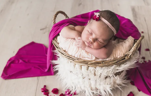 Picture sleep, sleeping, girl, basket, baby, decor, sweet, baby
