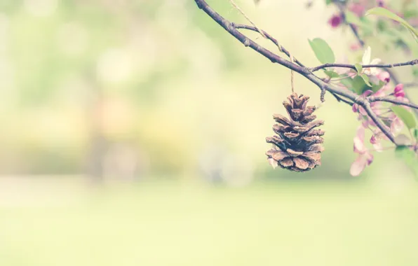 Picture branches, background, bumps