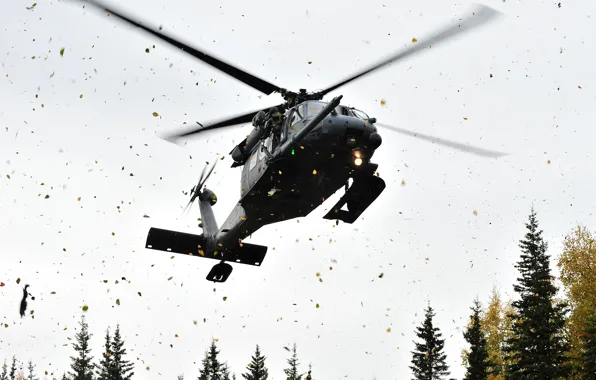 Autumn, helicopter, Alaska, Air Force, Helicopter, Army, HH-60G, flying leaves