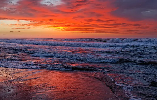 Sea, wave, sunset