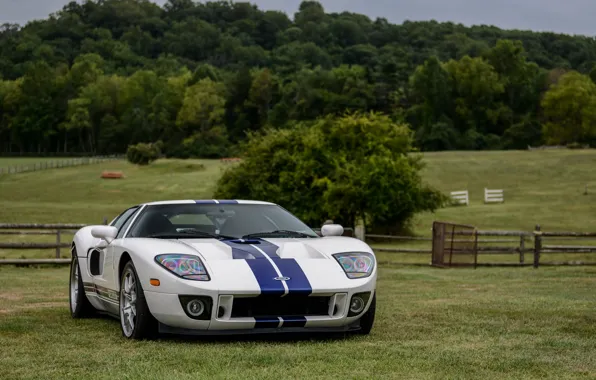 Picture Ford, Blue, White, Stripes