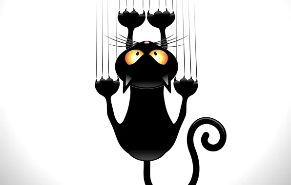 Picture cat, look, animal, black, vector, tail, claws