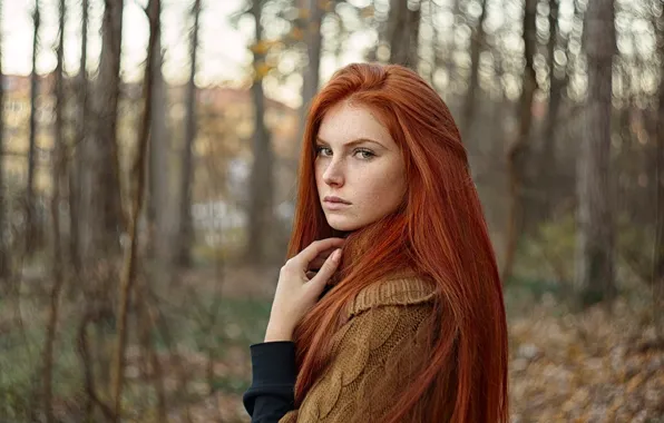Picture forest, look, girl, red