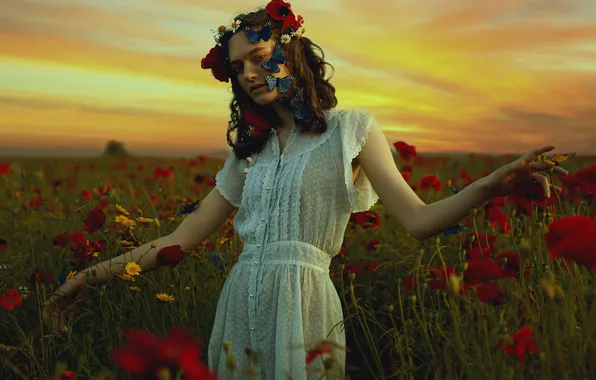 Summer, the sky, girl, clouds, butterfly, sunset, flowers, pose