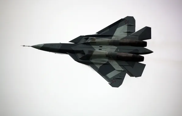 Fighter, T-50, multipurpose, Dry, PAK FA, The Russian air force, MAKS-2013, Promising Aviation Complex Tactical …