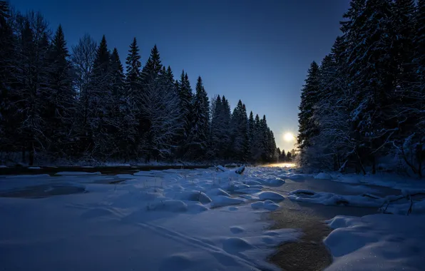 Picture winter, forest, nature, morning