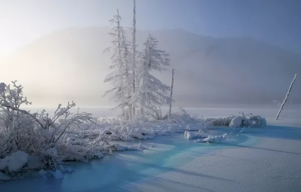 Picture winter, snow, landscape, nature, fog, Yakutia, Vladimir Ryabkov