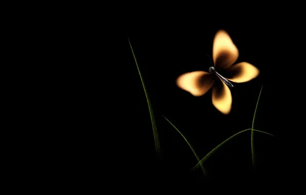 Picture fire, butterfly, match, black background