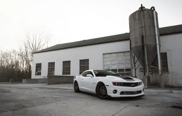 Picture white, camaro, chevrolet