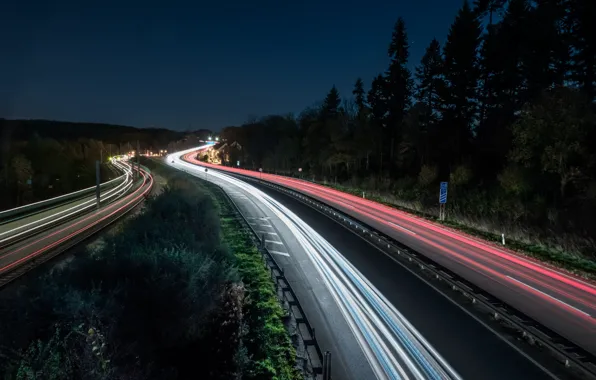 Picture road, trees, night, excerpt