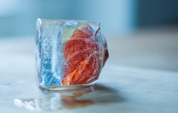 Ice, cube, frozen