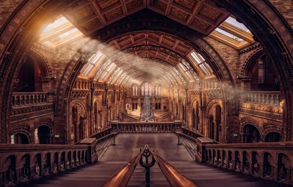 Light, skeleton, Museum, hall