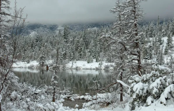 Winter, forest, clouds, snow, mountains, lake