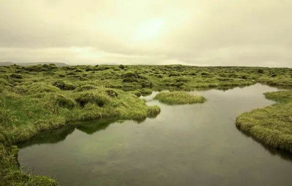 Field, the sky, landscape, nature, river