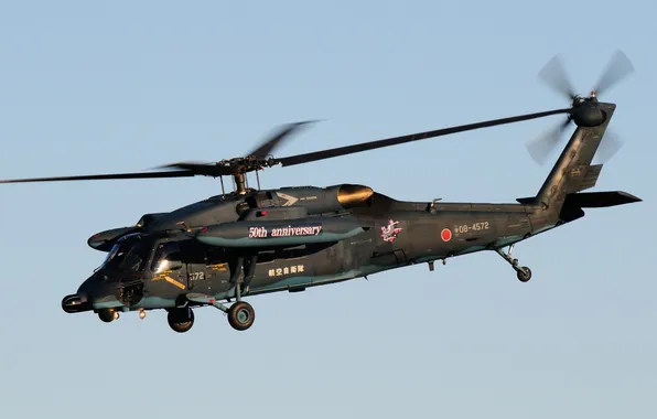 Flight, helicopter, multipurpose, UH-60J
