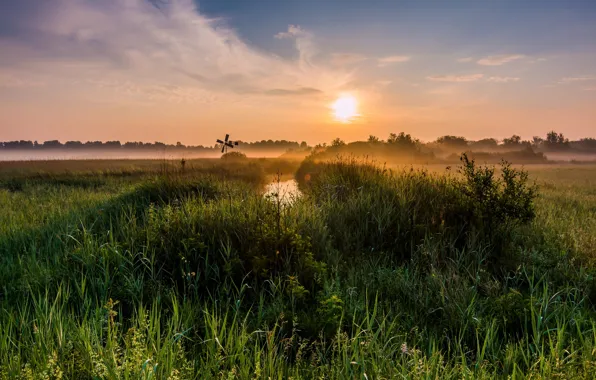 Wallpaper summer, dawn, morning for mobile and desktop, section пейзажи ...