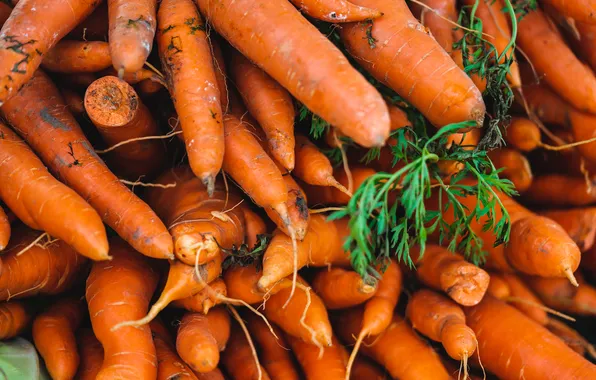 Pattern, vegetables, carrots